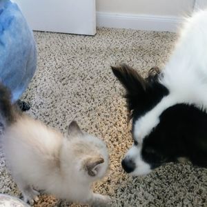 Meet your Posher, F.